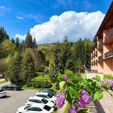Horsky Hotel Podjavornik Papradno Buitenkant foto