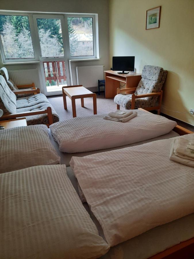 Horsky Hotel Podjavornik Papradno Buitenkant foto