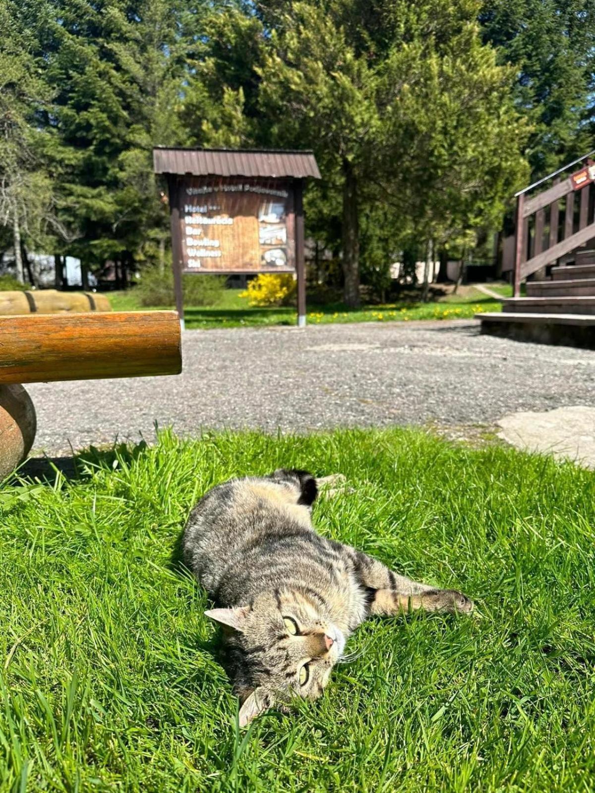 Horsky Hotel Podjavornik Papradno Buitenkant foto