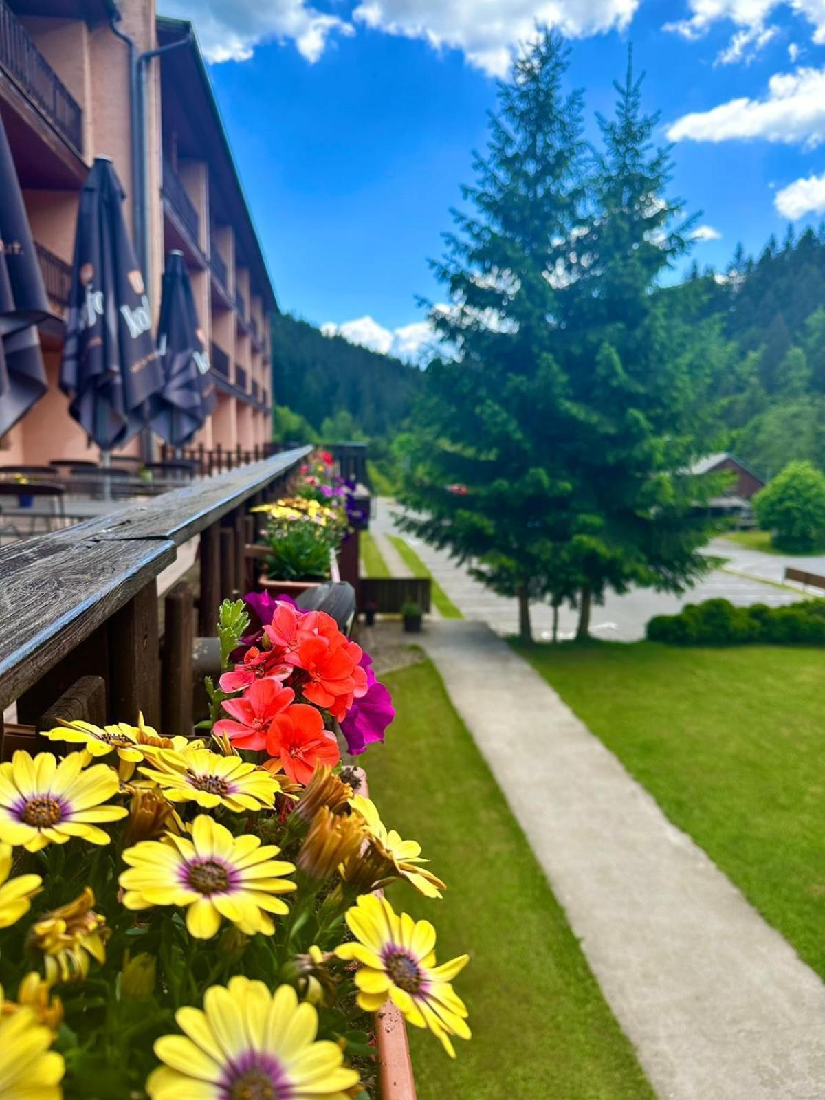 Horsky Hotel Podjavornik Papradno Buitenkant foto